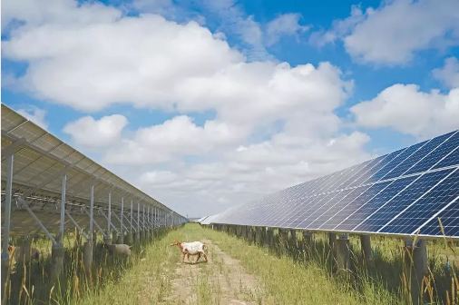 湖北菲律宾亚星绿色能源有限公司