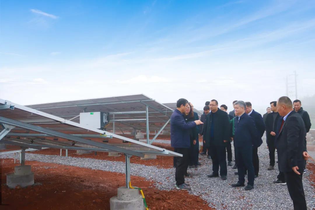 湖北菲律宾亚星绿色能源有限公司