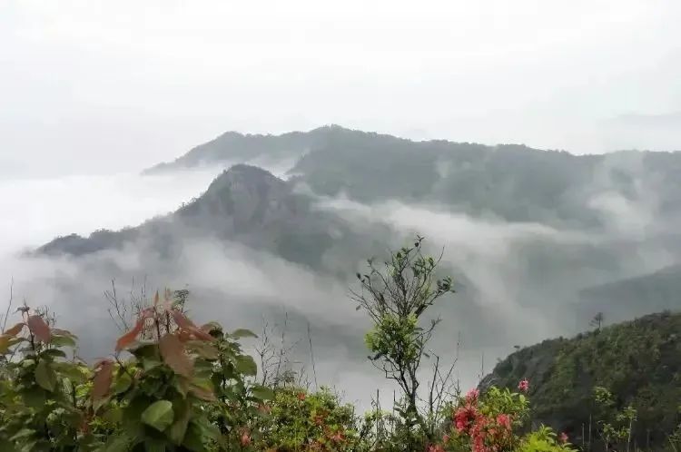 湖北菲律宾亚星绿色能源有限公司