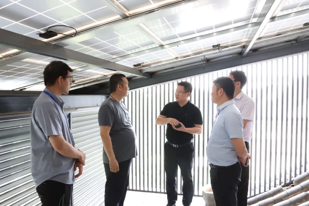 湖北菲律宾亚星绿色能源有限公司