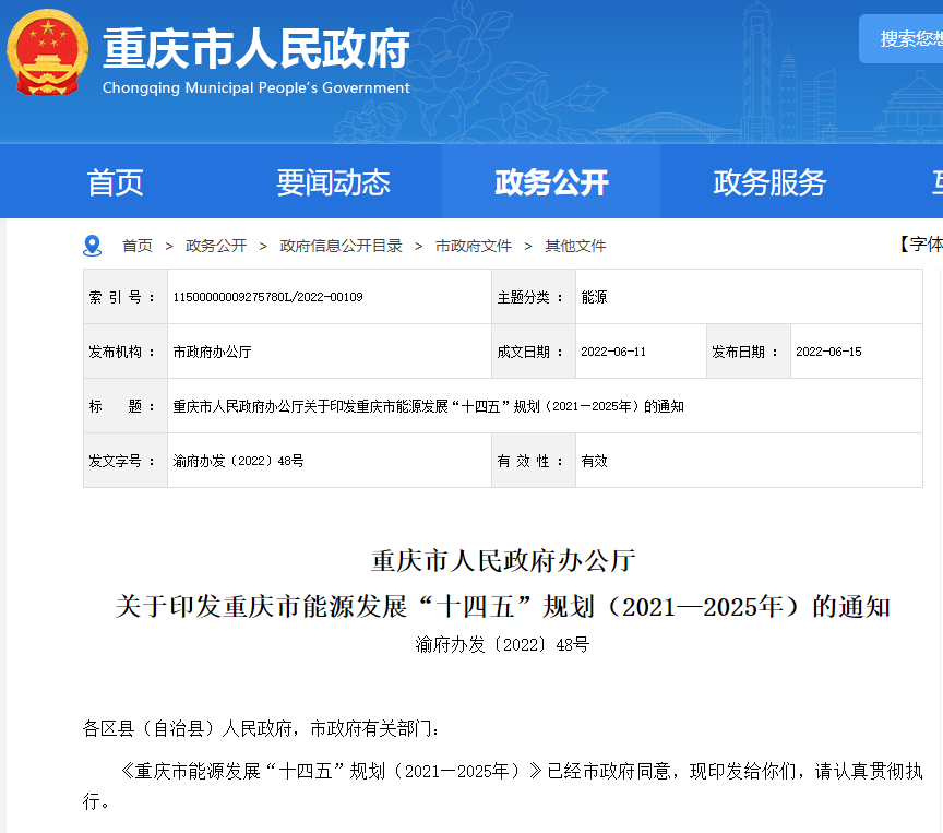 湖北菲律宾亚星绿色能源有限公司