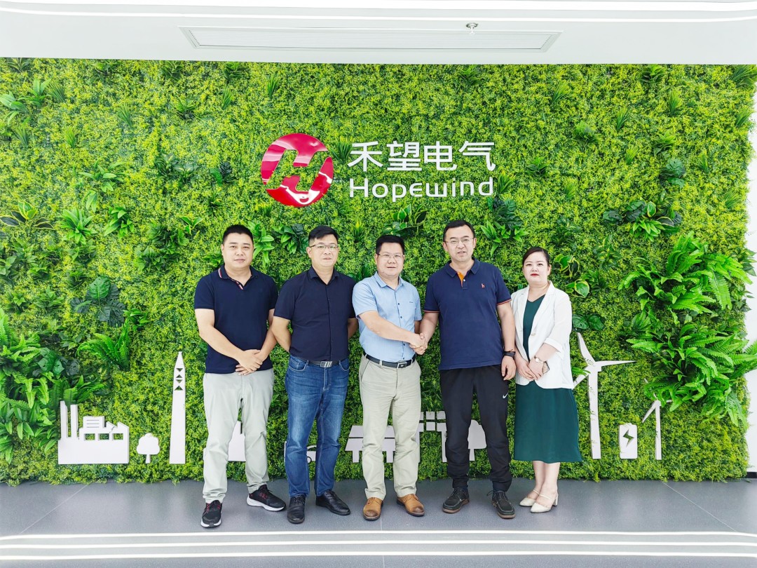 湖北菲律宾亚星绿色能源有限公司