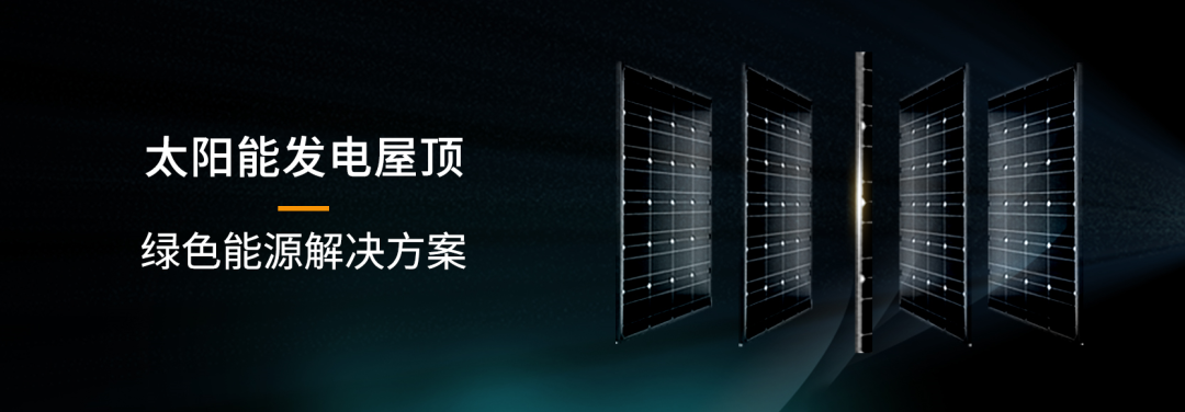 湖北菲律宾亚星绿色能源有限公司