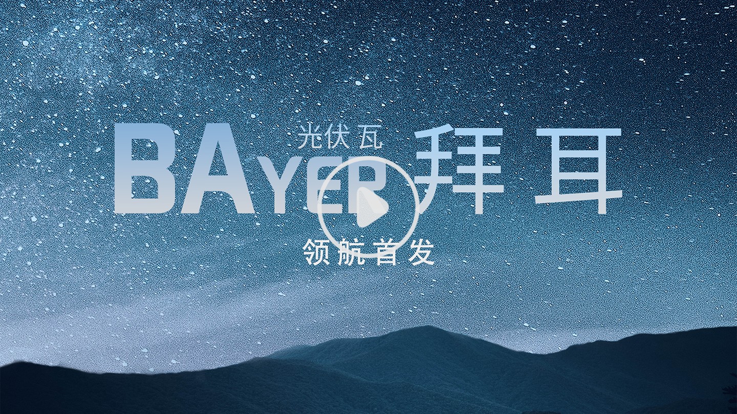 湖北菲律宾亚星绿色能源有限公司